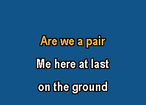 Are we a pair

Me here at last

on the ground