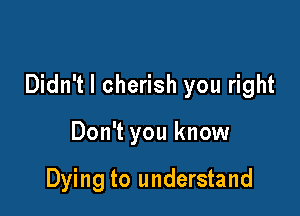 Didn't I cherish you right

Don't you know

Dying to understand