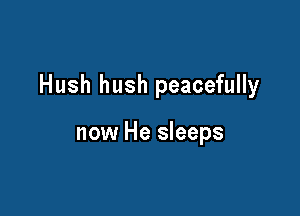Hush hush peacefully

now He sleeps