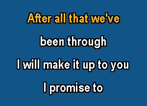 After all that we've

been through

I will make it up to you

I promise to