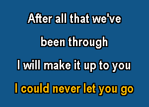 After all that we've
been through

I will make it up to you

I could never let you go