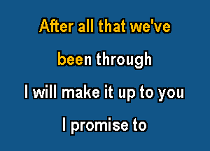 After all that we've

been through

I will make it up to you

I promise to