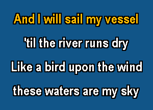 And I will sail my vessel
'til the river runs dry

Like a bird upon the wind

these waters are my sky