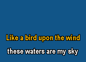 Like a bird upon the wind

these waters are my sky