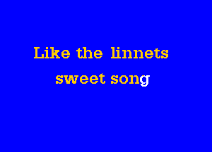 Like the linnets

sweet song