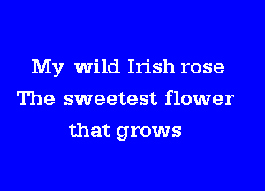My Wild Irish rose
The sweetest flower

that grows