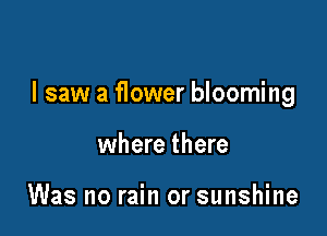 I saw a flower blooming

where there

Was no rain or sunshine