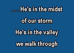 ...He's in the midst

of our storm

He's in the valley

we walk through