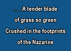 ...Atender blade

of grass so green

Crushed in the footprints

ofthe Nazarine