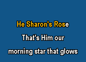 He Sharon's Rose

That's Him our

morning star that glows