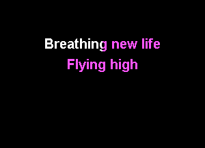 Breathing new life
Flying high
