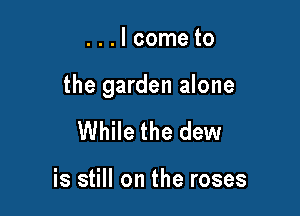 ...Icometo

the garden alone

While the dew

is still on the roses