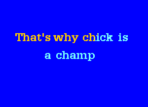 That's Why chick is

a champ