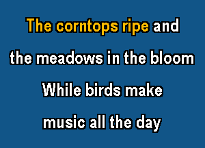 The corntops ripe and

the meadows in the bloom
While birds make

music all the day