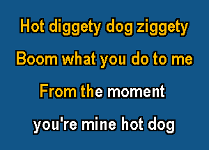 Hot diggety dog ziggety
Boom what you do to me

From the moment

you're mine hot dog