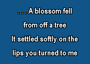 . . . A blossom fell

from off a tree

It settled softly on the

lips you turned to me
