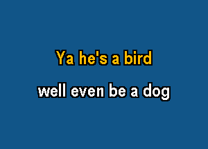 Ya he's a bird

well even be a dog