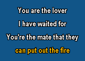 You are the lover

I have waited for

You're the mate that they

can put out the fire