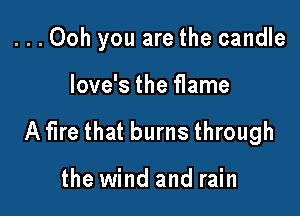 ...Ooh you are the candle

Iove's the flame
A tire that burns through

the wind and rain