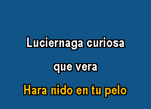 Luciernaga curiosa

que vera

Hara nido en tu pelo