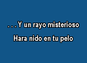 . . .Y un rayo misterioso

Hara nido en tu pelo