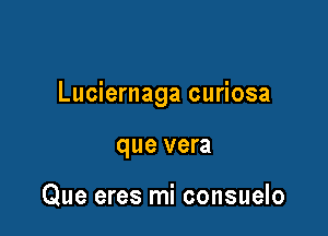 Luciernaga curiosa

que vera

Que eres mi consuelo