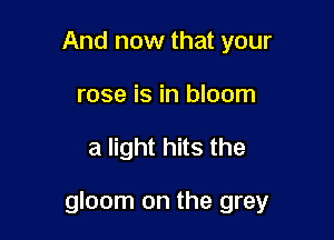 And now that your
rose is in bloom

a light hits the

gloom on the grey