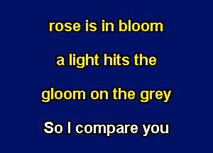 rose is in bloom

a light hits the

gloom on the grey

So I compare you