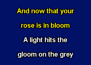 And now that your
rose is in bloom

A light hits the

gloom on the grey