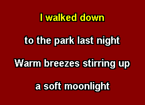 I walked down

to the park last night

Warm breezes stirring up

a soft moonlight