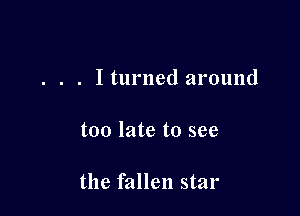 . . . Iturned around

too late to see

the fallen star