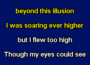 beyond this illusion
I was soaring ever higher
but I flew too high

Though my eyes could see