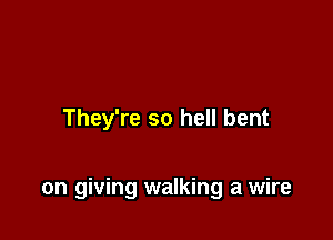 They're so hell bent

on giving walking a wire