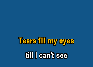 Tears fill my eyes

till I can't see