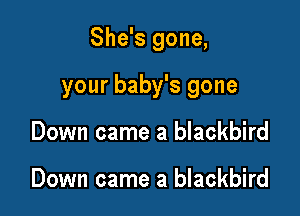She's gone,

your baby's gone

Down came a blackbird

Down came a blackbird
