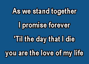 As we stand together

I promise forever
'Til the day that I die

you are the love of my life