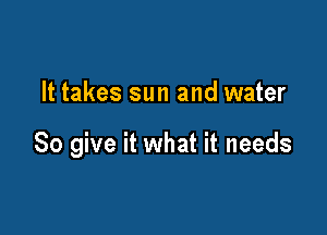 It takes sun and water

So give it what it needs