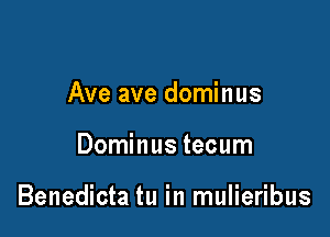 Ave ave dominus

Dominus tecum

Benedicta tu in mulieribus