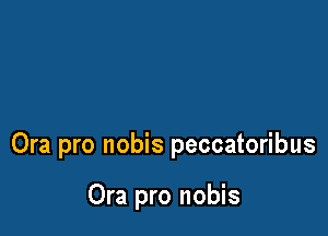 Ora pro nobis peccatoribus

Ora pro nobis