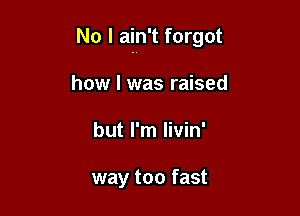 No I ain't forgot

how I was raised
but I'm livin'

way too fast