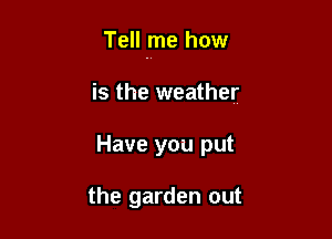 Tell me how

is the weather
Have you put

the garden out