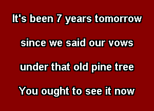 It's been 7 years tomorrow

since we said our vows

under that old pine tree

You ought to see it now