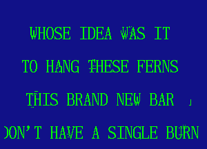 WHOSE IDEA WAS IT

TO HANG WESE FERNS

THIS BRAND NEW BAR J
)OIW T HAVE A SINGLE BURN
