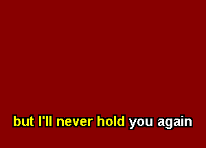 but I'll never hold you again