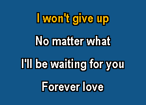 lwon't give up

No matter what

I'll be waiting for you

Forever love