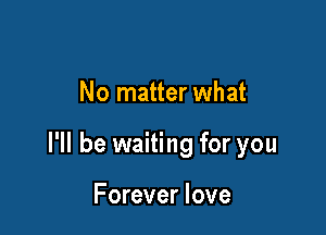 No matter what

I'll be waiting for you

Forever love