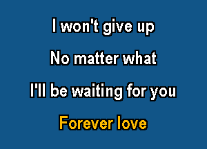 lwon't give up

No matter what

I'll be waiting for you

Forever love