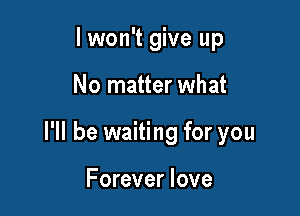 lwon't give up

No matter what

I'll be waiting for you

Forever love