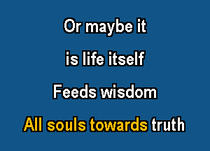 Or maybe it

is life itself
Feeds wisdom

All souls towards truth