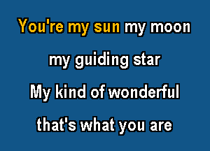 You're my sun my moon

my guiding star

My kind of wonderful

that's what you are